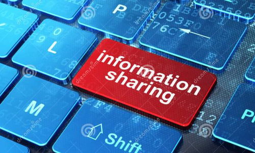 互联赋能，油创未来——互联网时代下成品油销售企业的创新营销与网络技术服务战略